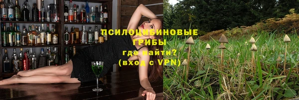 прущие крисы Абаза