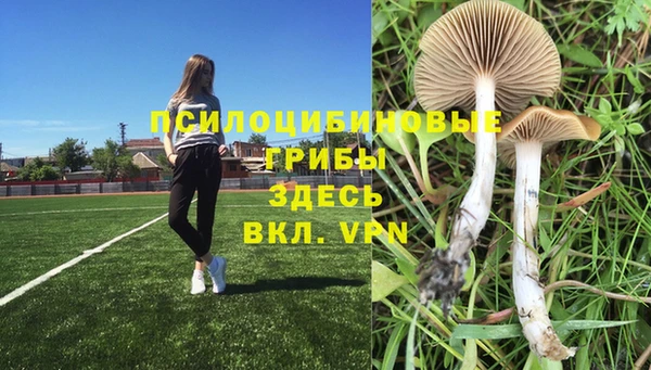 прущие крисы Абаза