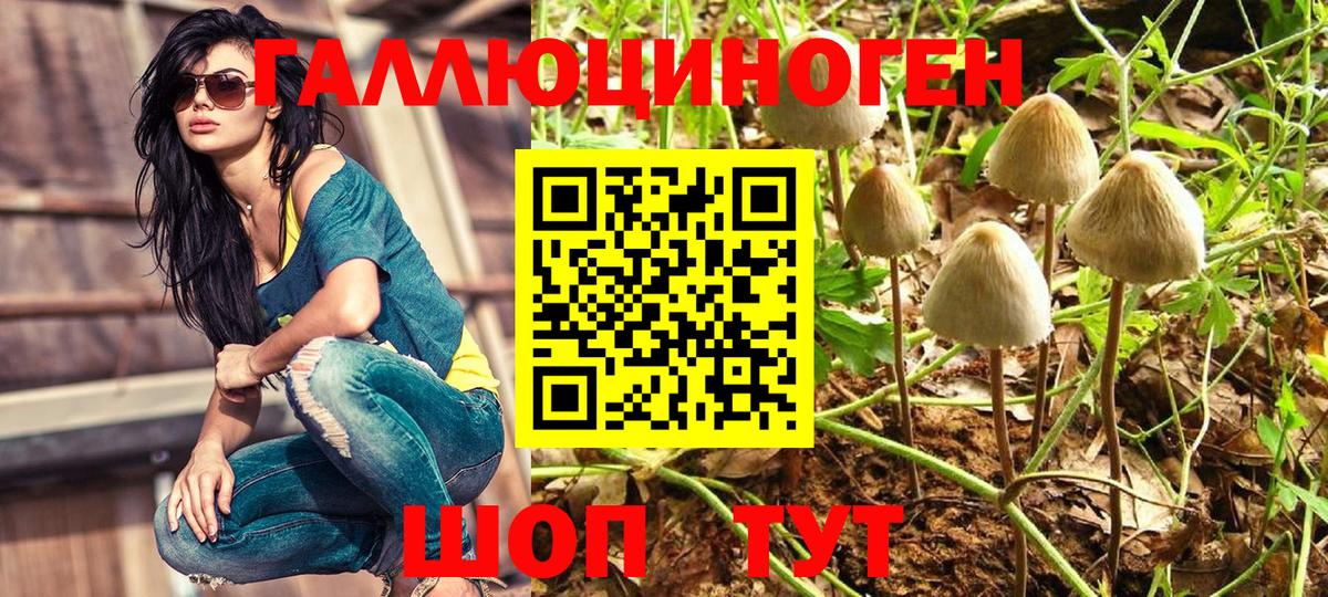 Псилоцибиновые грибы Cubensis Благодарный